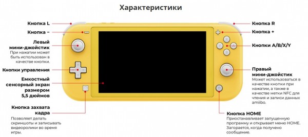 Nintendo Switch Lite
