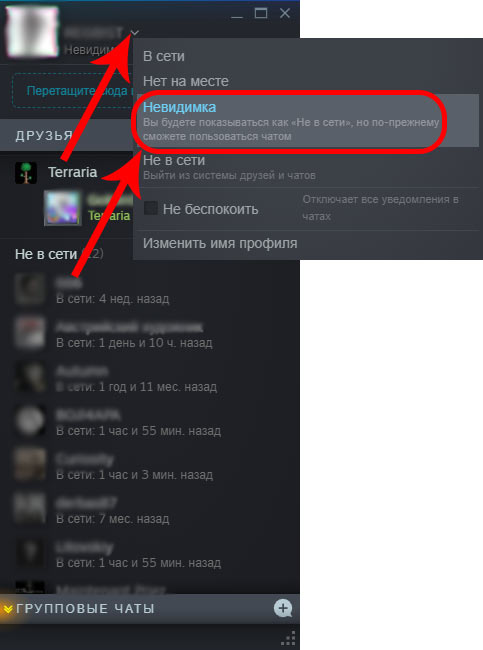 как включить режим невидимки в стиме
