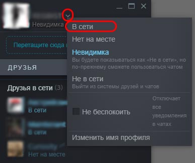steam изменить статус невидимки