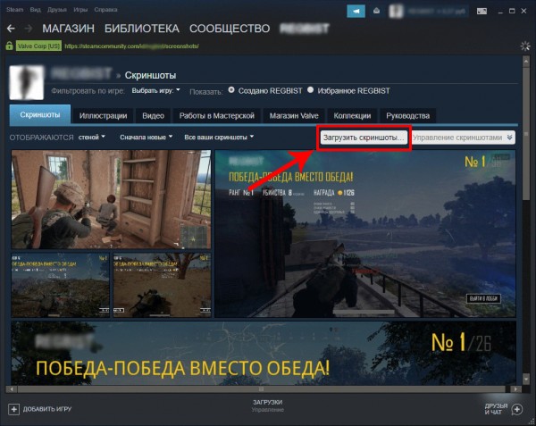 загрузить скриншот стим