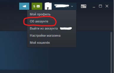 об аккаунте стим