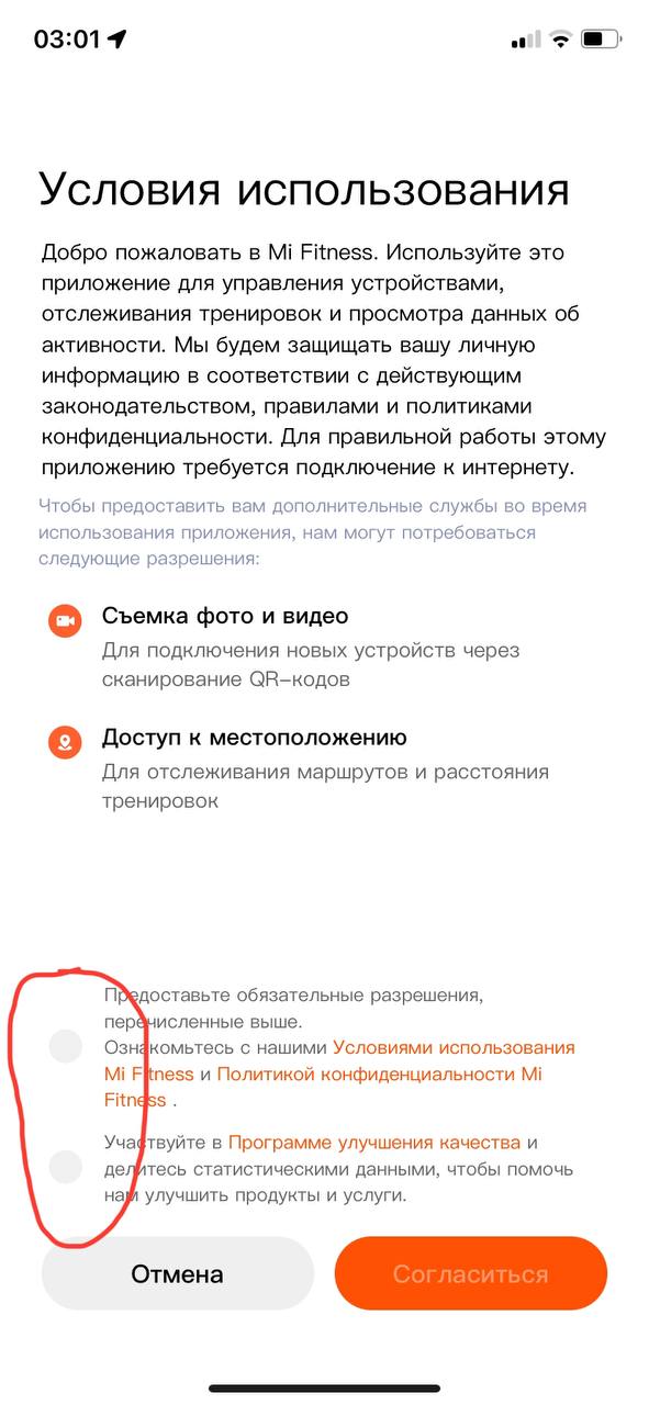 светлая тема