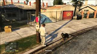 GTA 5 Первая прогулка с Чопом | dog chop