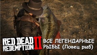 Red Dead Redemption 2 - Все легендарные рыбы (Ловец рыб)