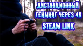 Играю в лесу через Steam Link
